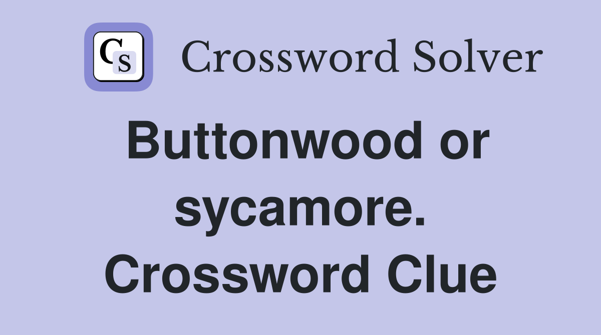 Buttonwood or sycamore. Crossword Clue
