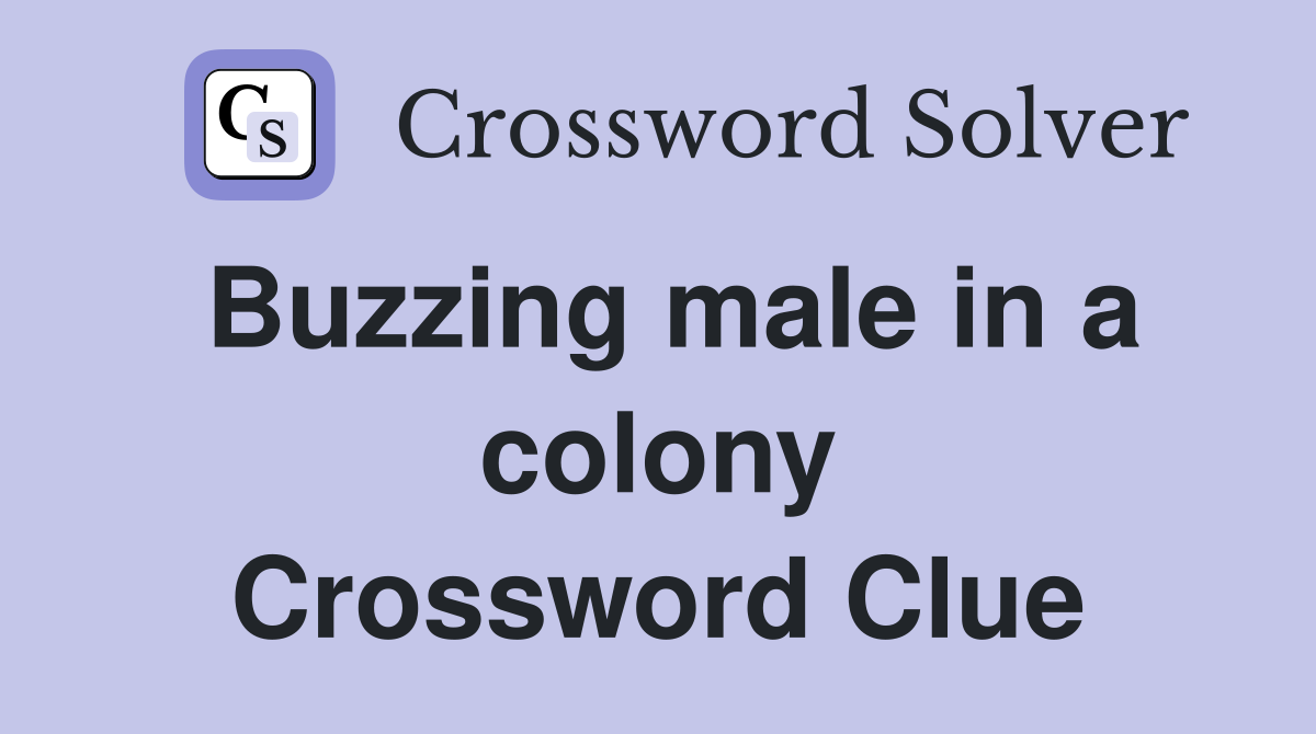 Buzzing male in a colony Crossword Clue
