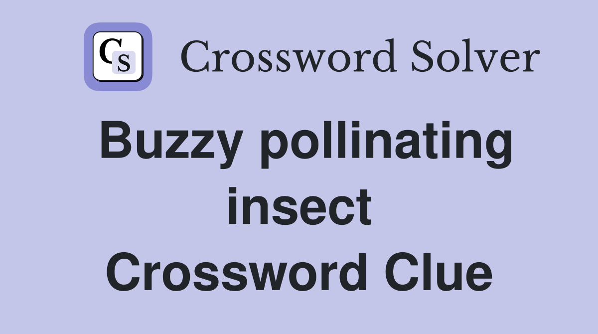 Buzzy pollinating insect Crossword Clue