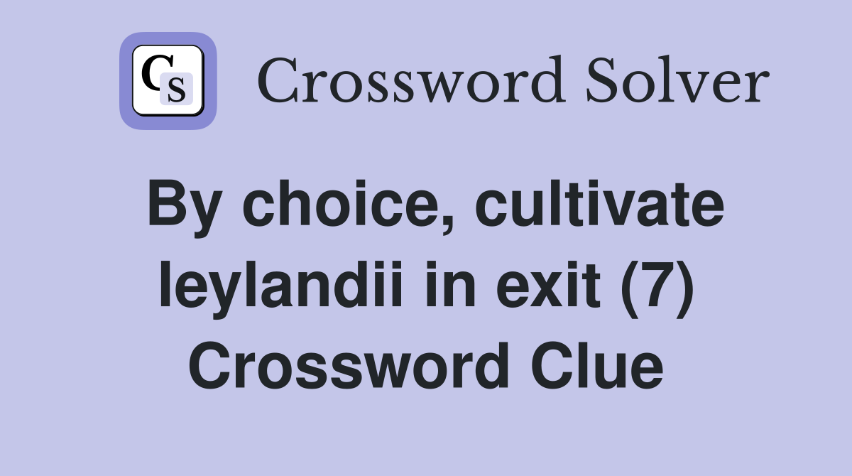 By choice, cultivate leylandii in exit (7) Crossword Clue