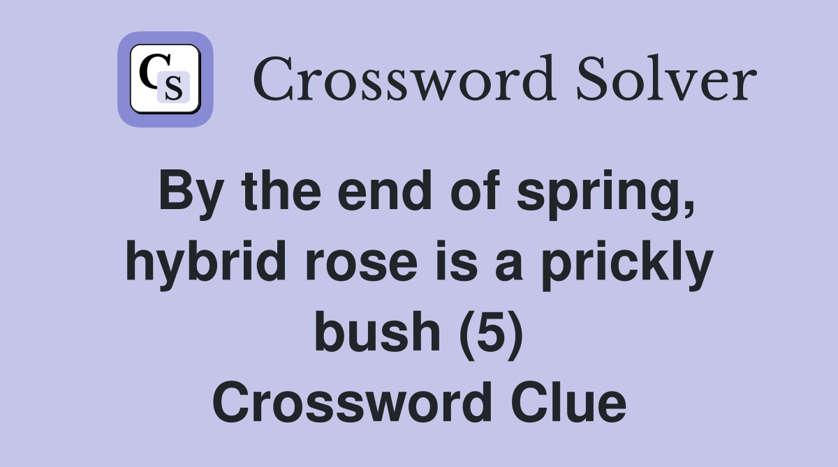 By the end of spring, hybrid rose is a prickly bush (5) Crossword Clue