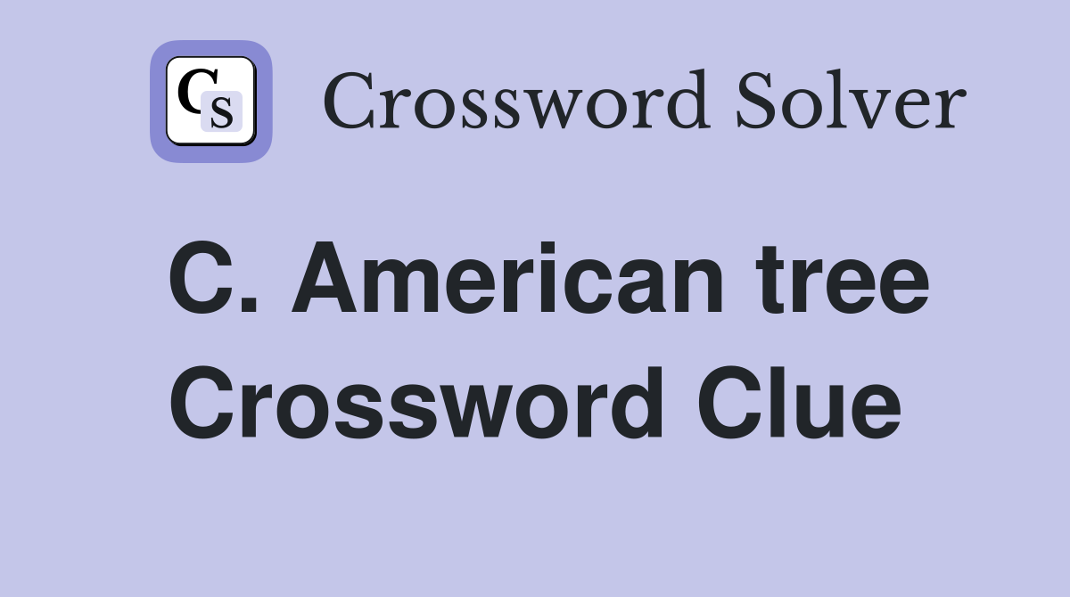 C. American tree Crossword Clue