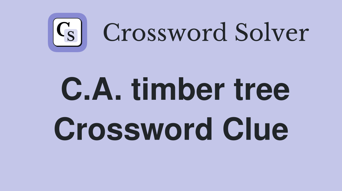 C.A. timber tree Crossword Clue