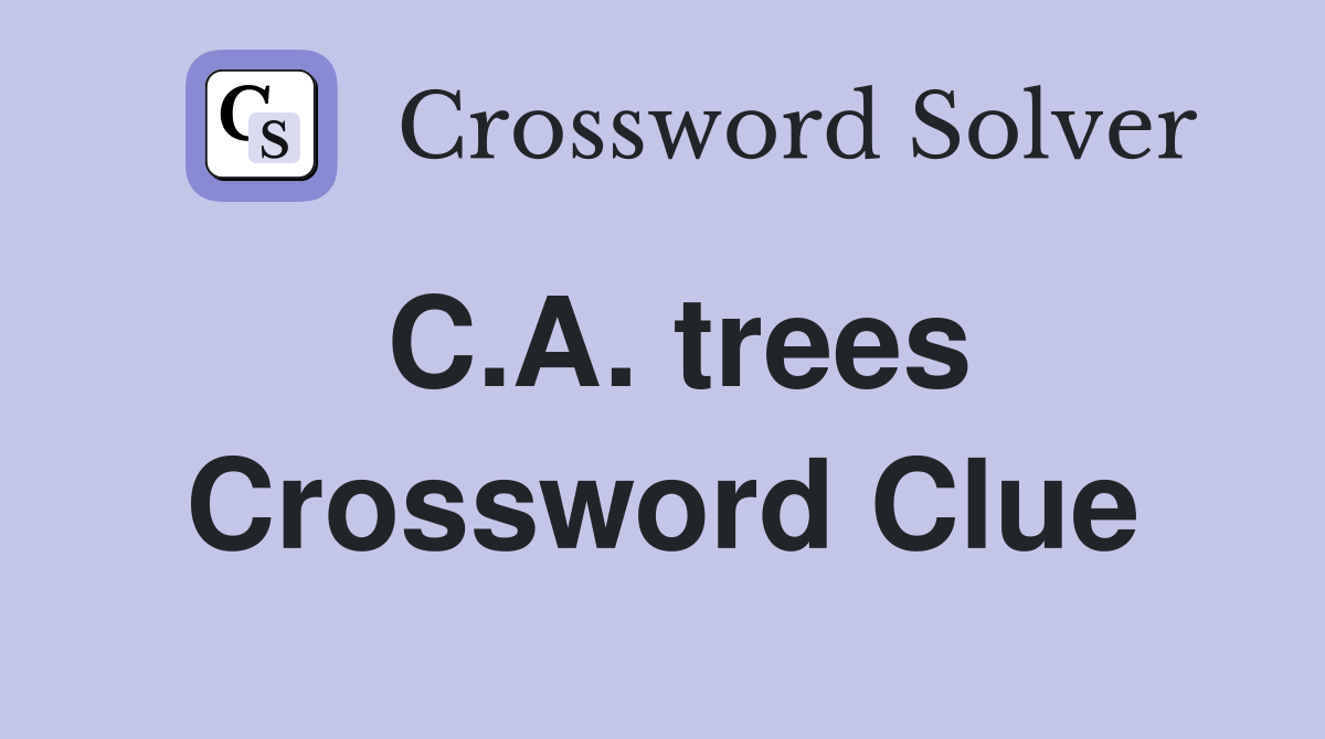 C.A. trees Crossword Clue