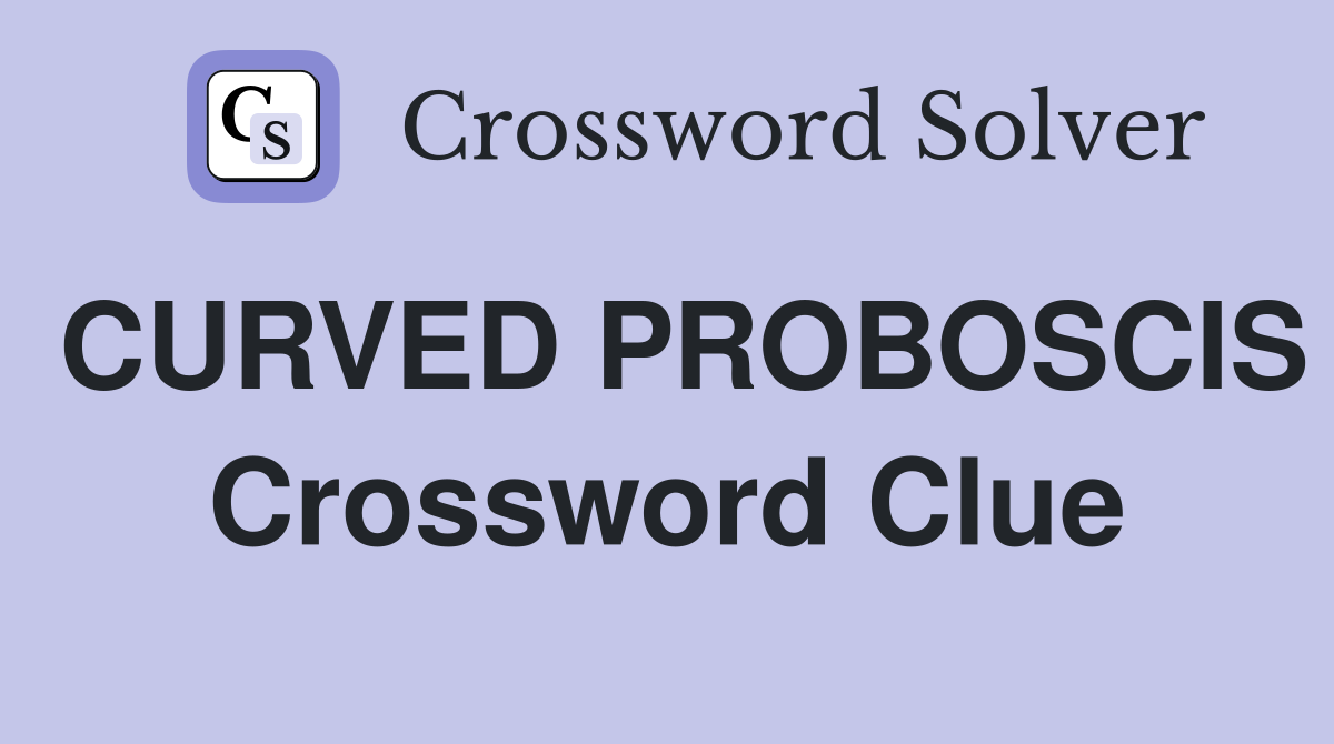 CURVED PROBOSCIS Crossword Clue