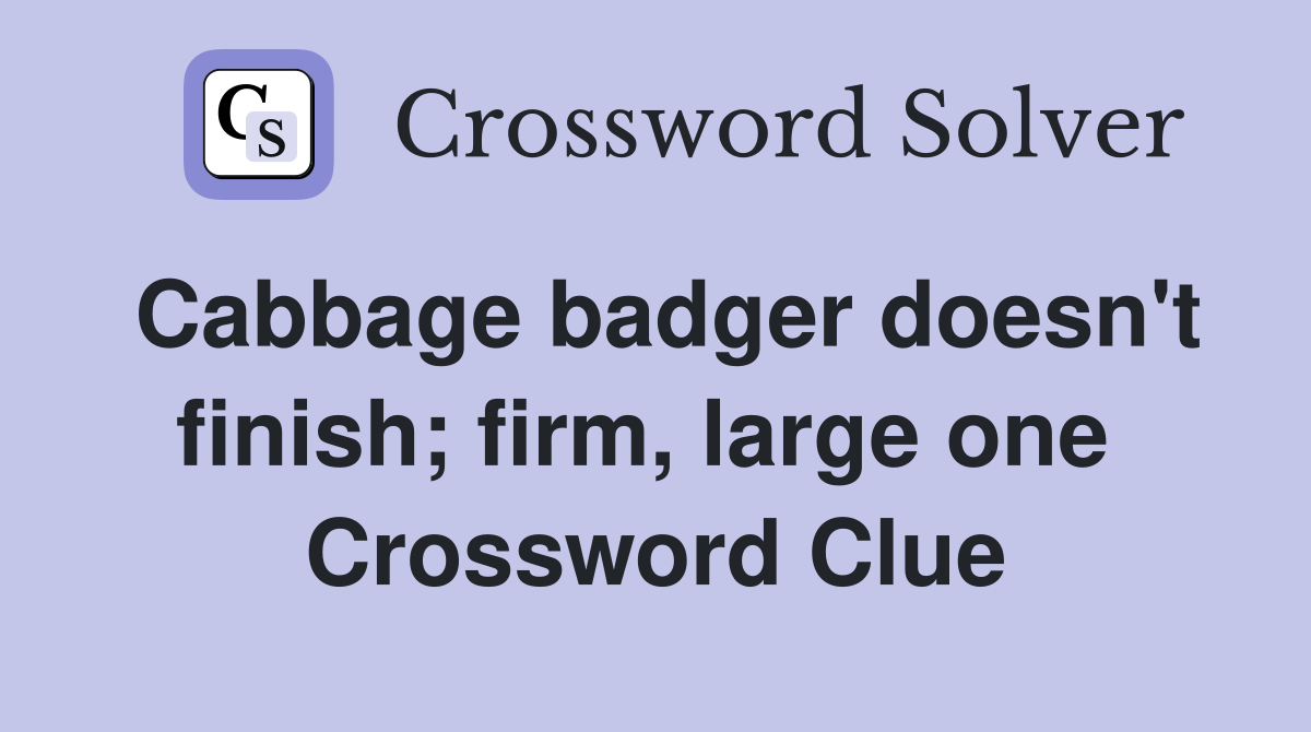 Cabbage badger doesn't finish; firm, large one  Crossword Clue