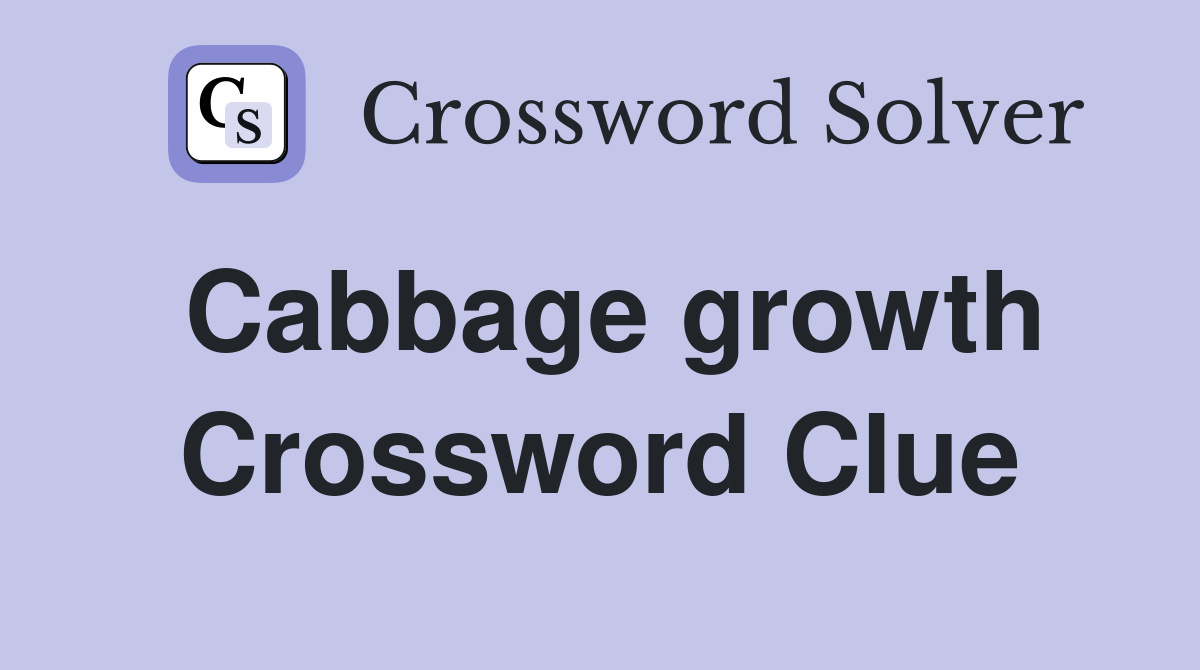 Cabbage growth Crossword Clue