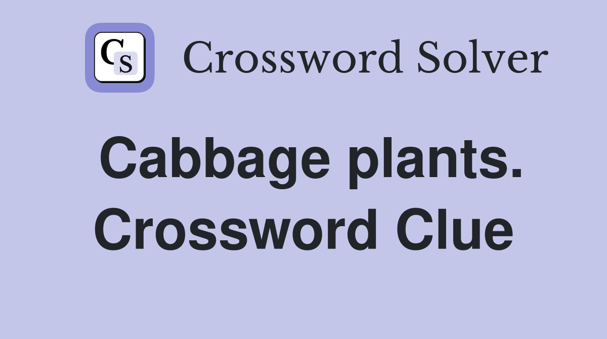 Cabbage plants. Crossword Clue