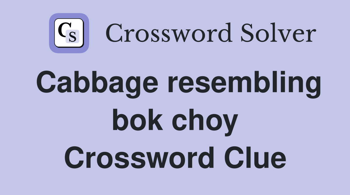 Cabbage resembling bok choy Crossword Clue