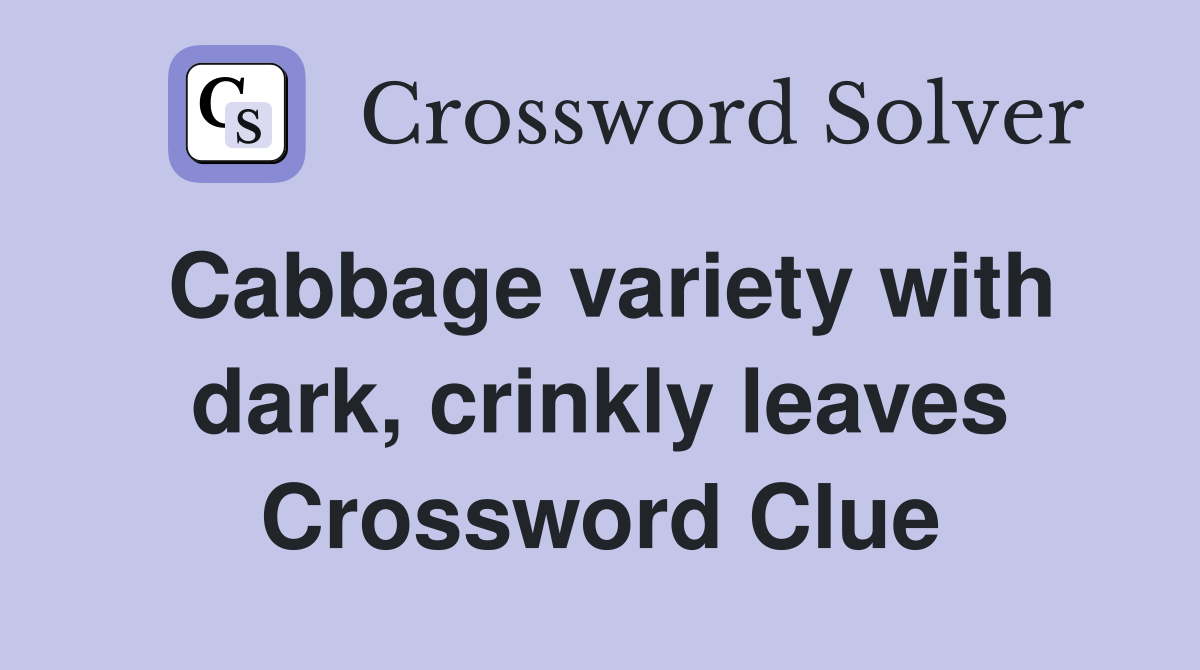 Cabbage variety with dark, crinkly leaves Crossword Clue