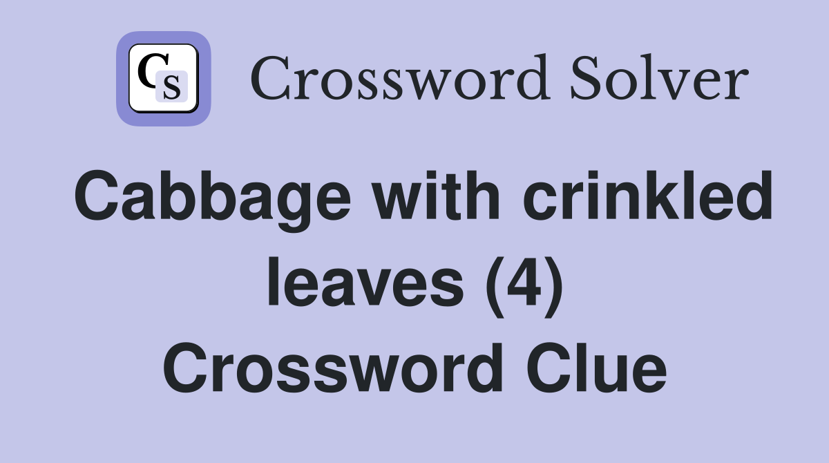 Cabbage with crinkled leaves (4) Crossword Clue