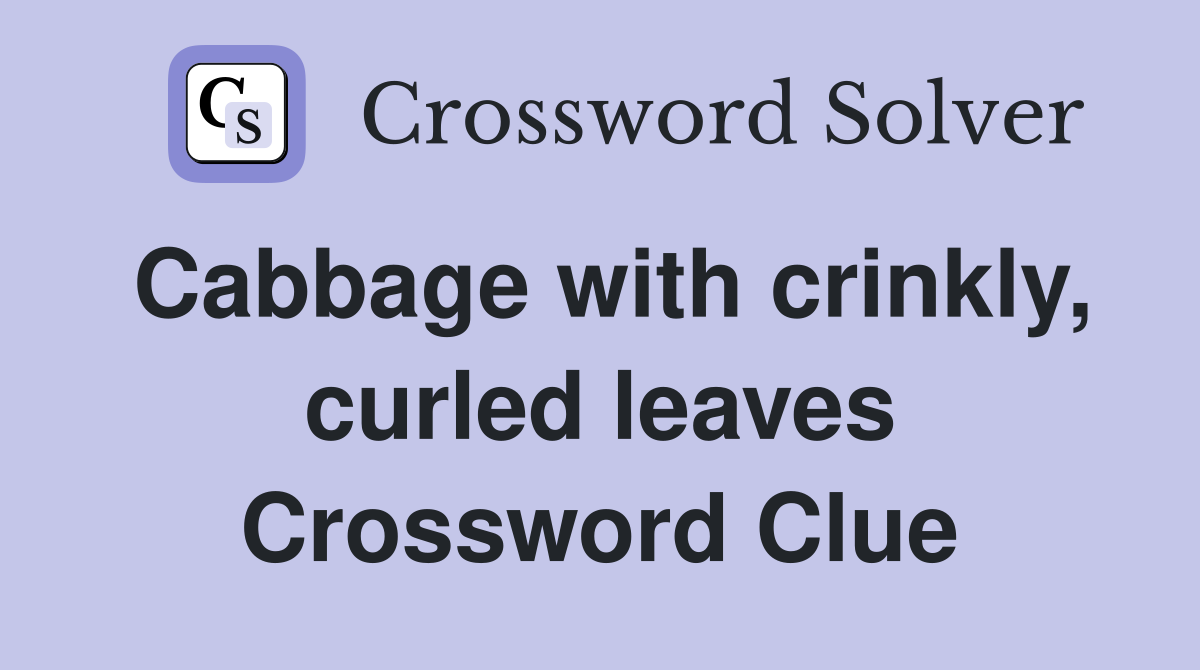 Cabbage with crinkly, curled leaves Crossword Clue