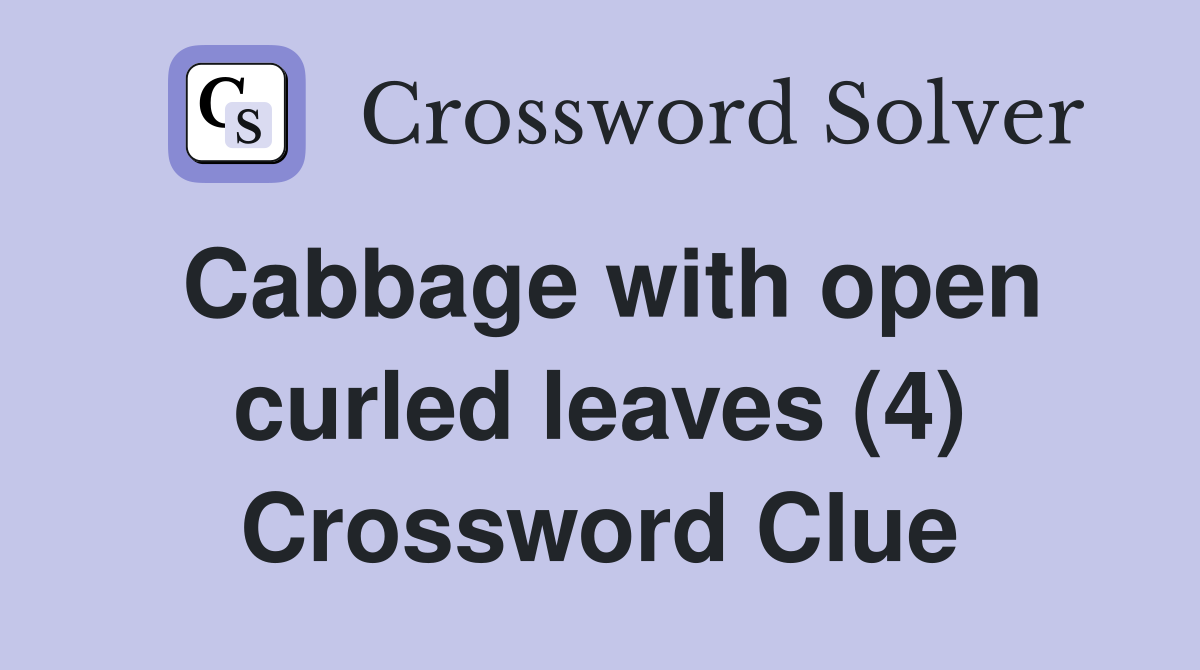 Cabbage with open curled leaves (4) Crossword Clue