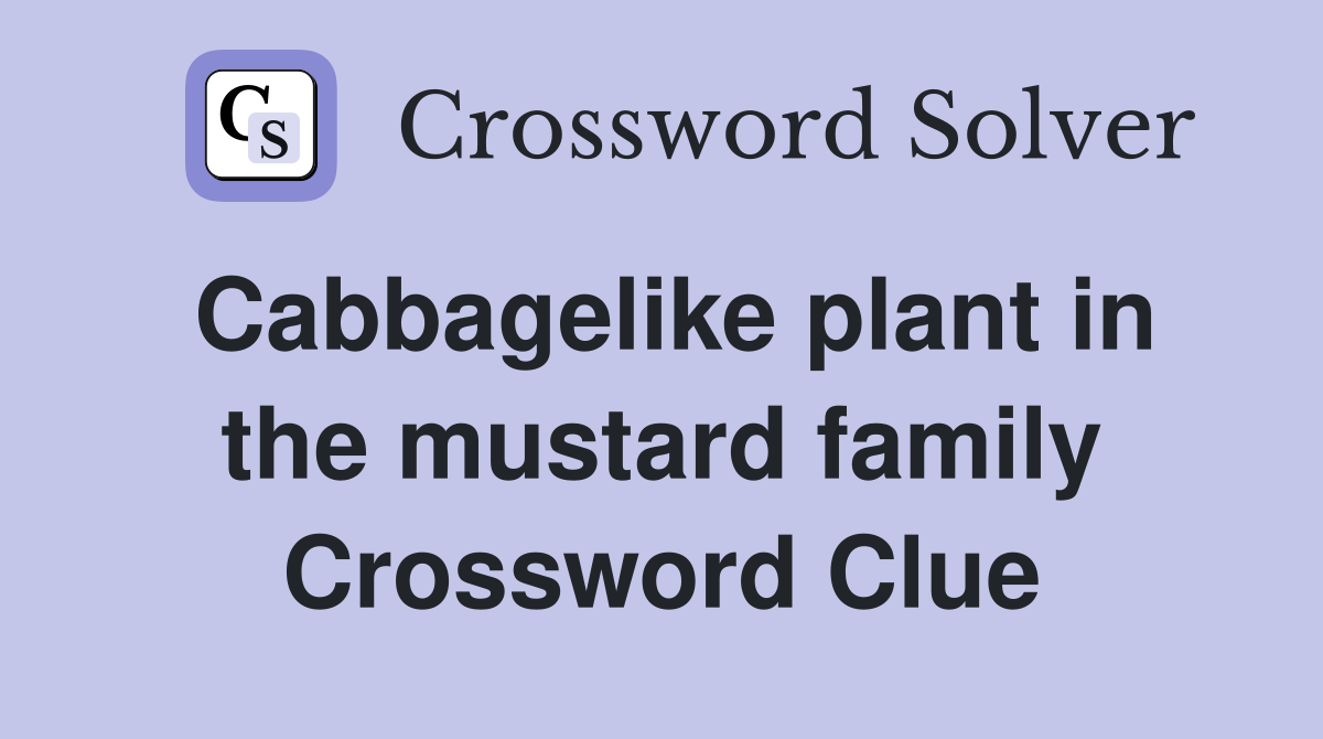 Cabbagelike plant in the mustard family Crossword Clue