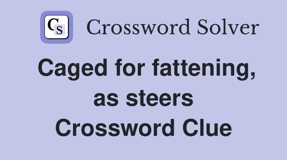 Caged for fattening, as steers Crossword Clue