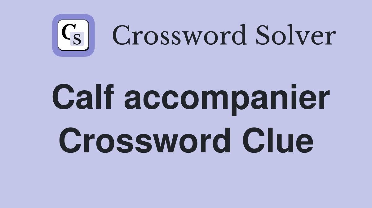 Calf accompanier Crossword Clue