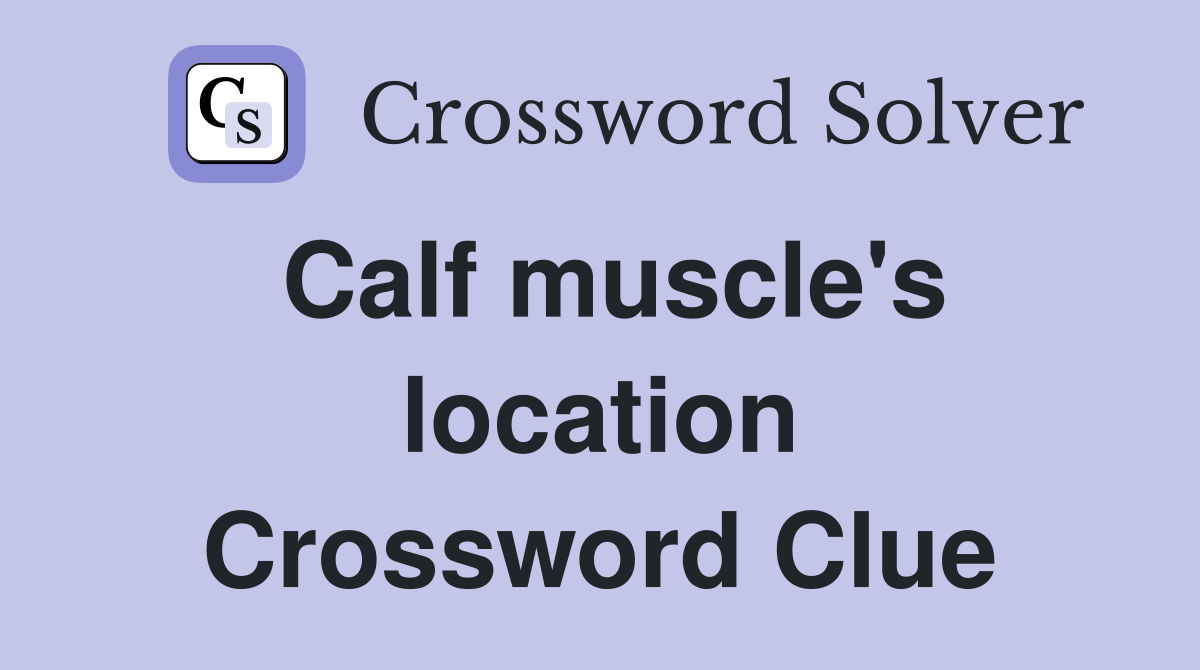 Calf muscle's location Crossword Clue