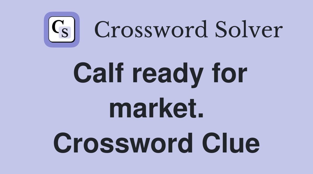 Calf ready for market. Crossword Clue