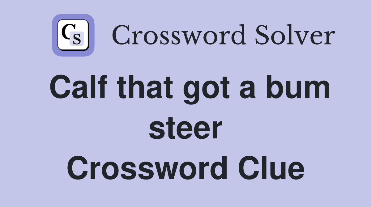 Calf that got a bum steer Crossword Clue