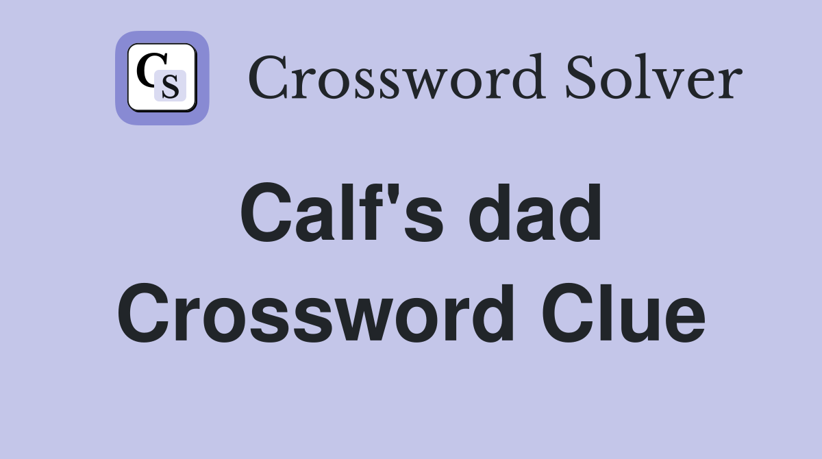 Calf's dad Crossword Clue