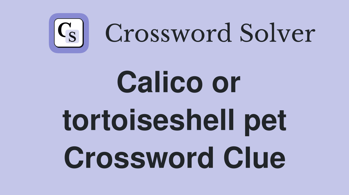 Calico or tortoiseshell pet Crossword Clue