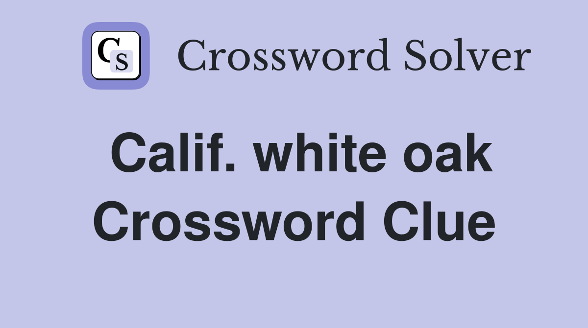 Calif. white oak Crossword Clue