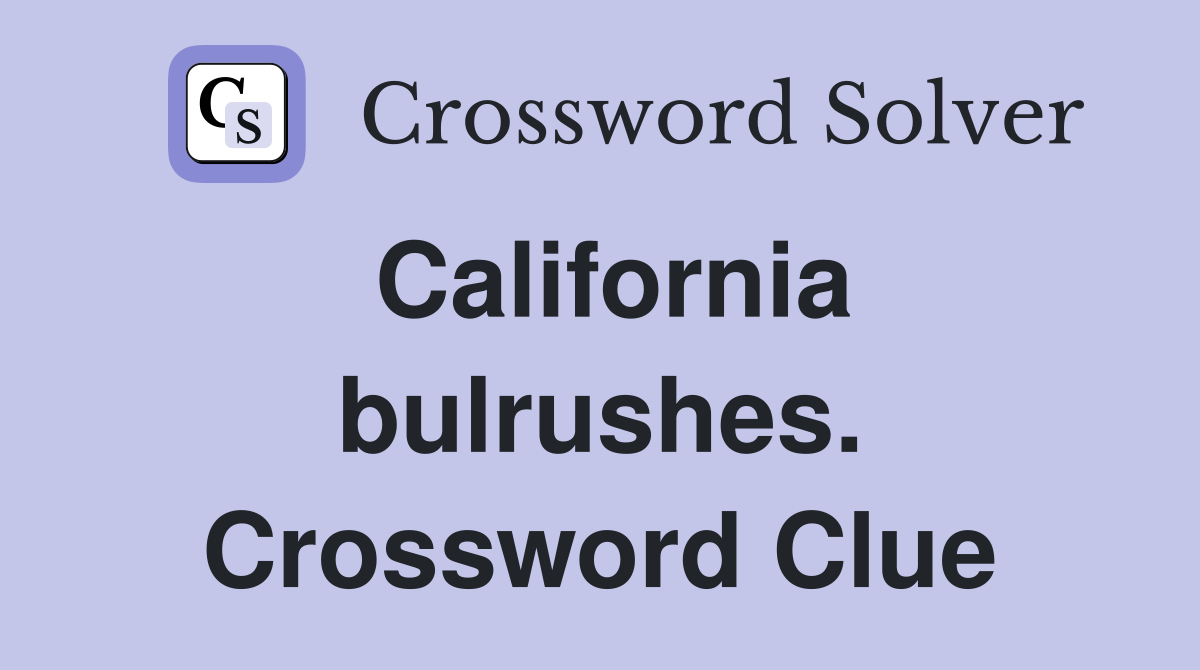 California bulrushes. Crossword Clue
