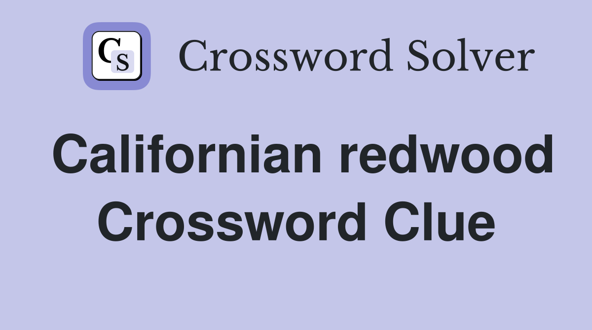 Californian redwood Crossword Clue