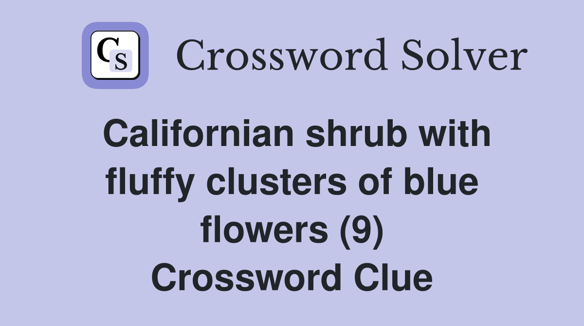 Californian shrub with fluffy clusters of blue flowers (9) Crossword Clue