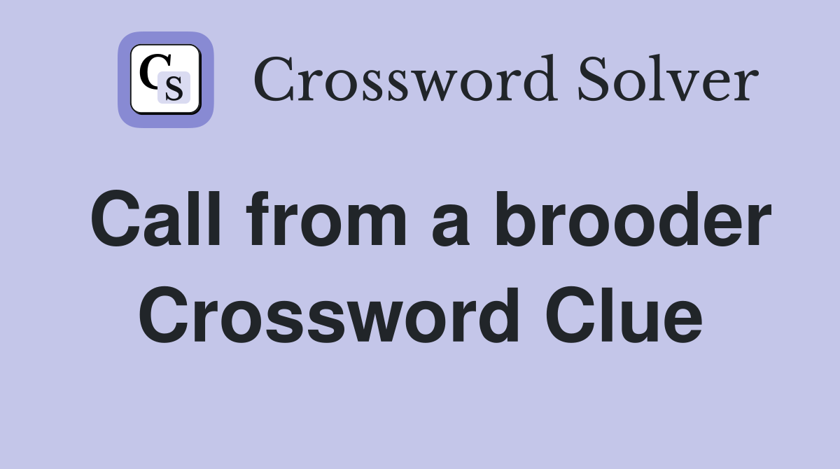 Call from a brooder Crossword Clue