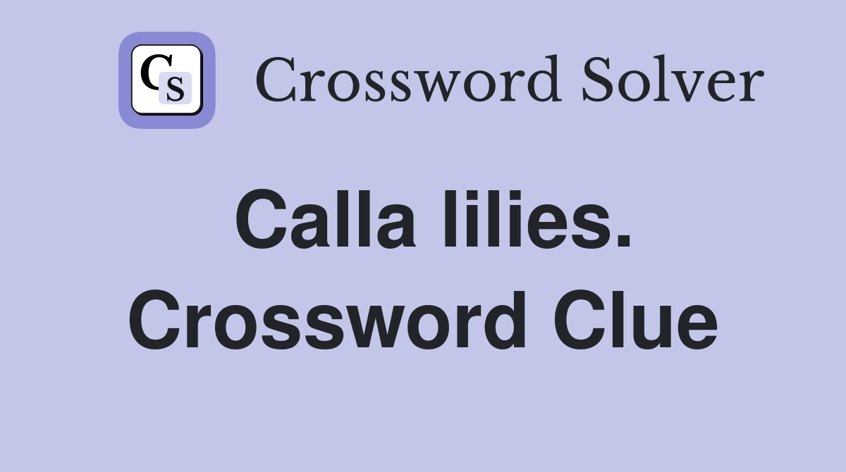 Calla lilies. Crossword Clue