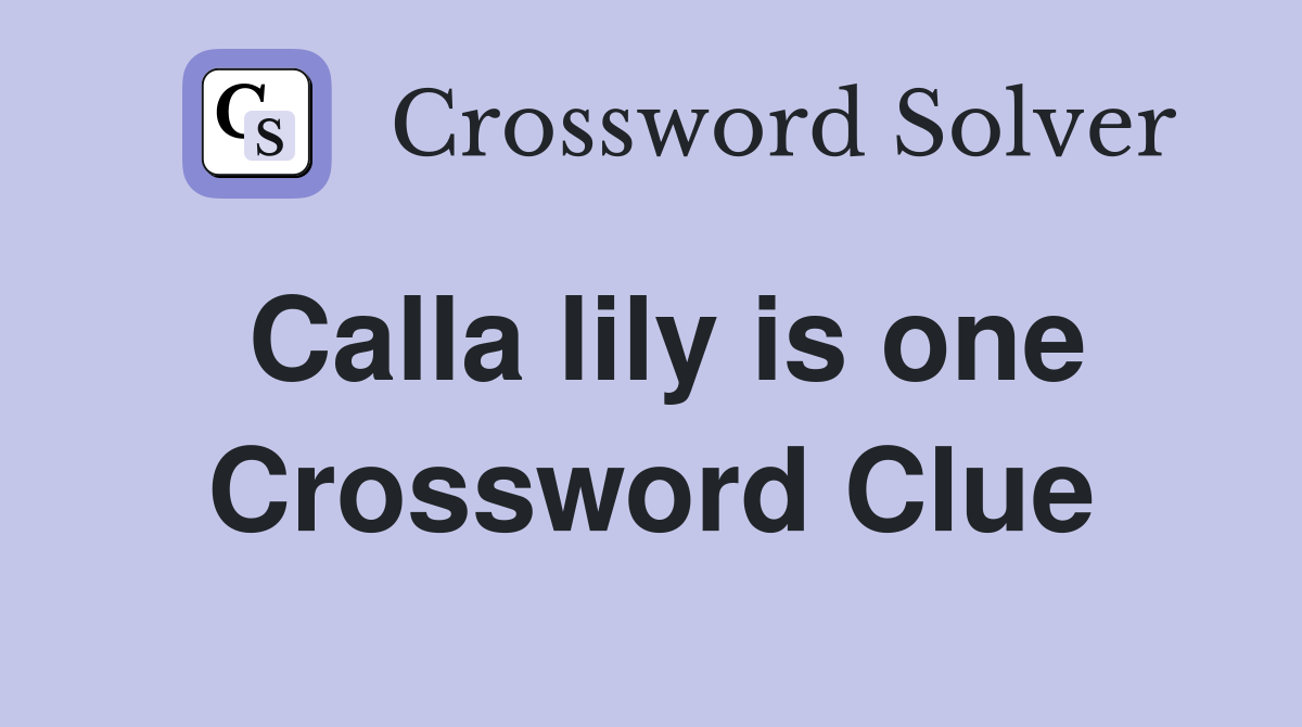 Calla lily is one Crossword Clue