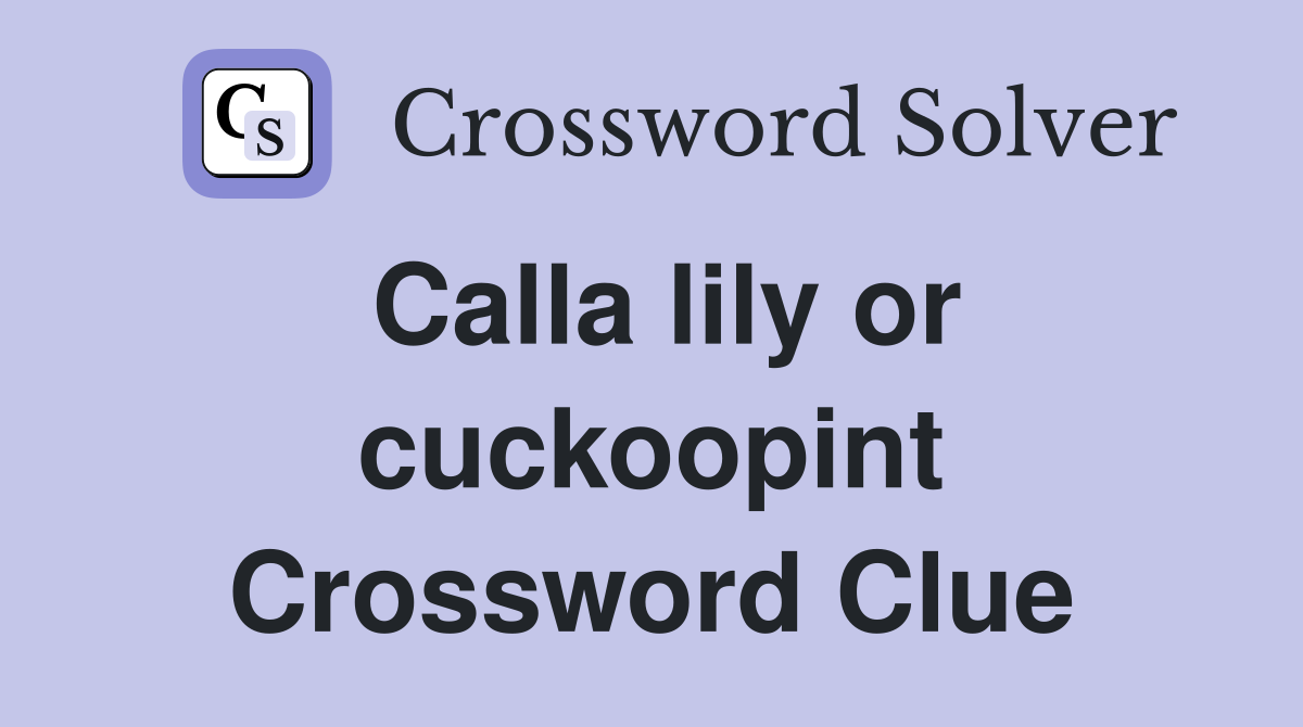 Calla lily or cuckoopint Crossword Clue