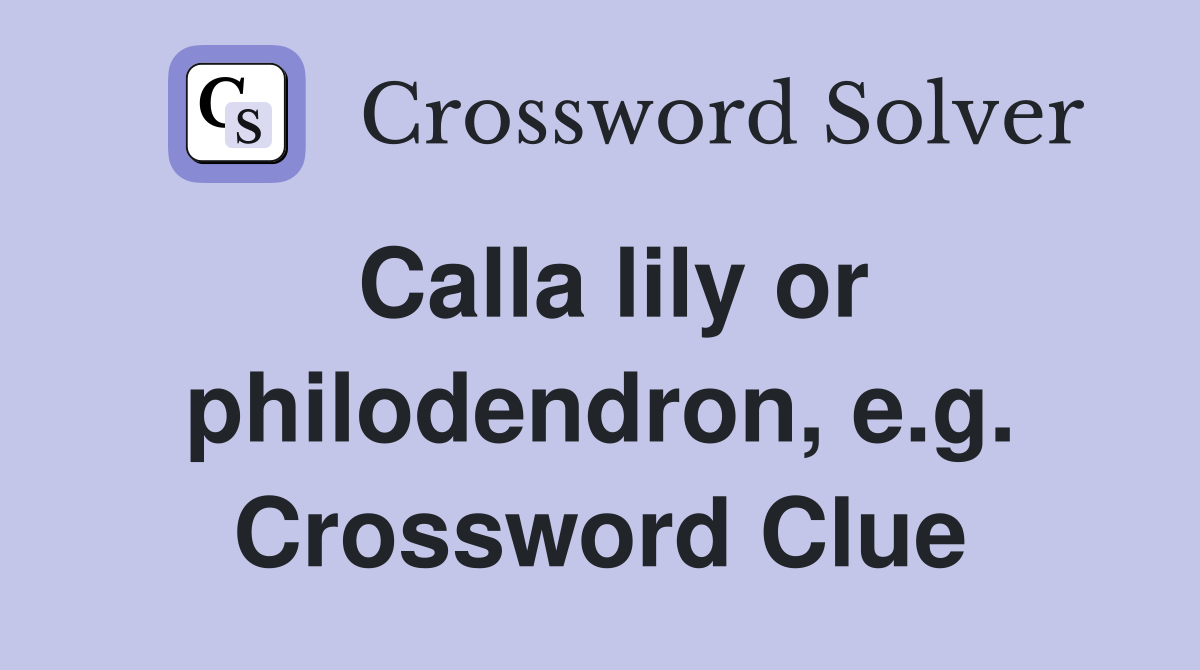 Calla lily or philodendron, e.g. Crossword Clue