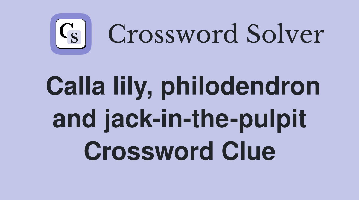 Calla lily, philodendron and jack-in-the-pulpit Crossword Clue