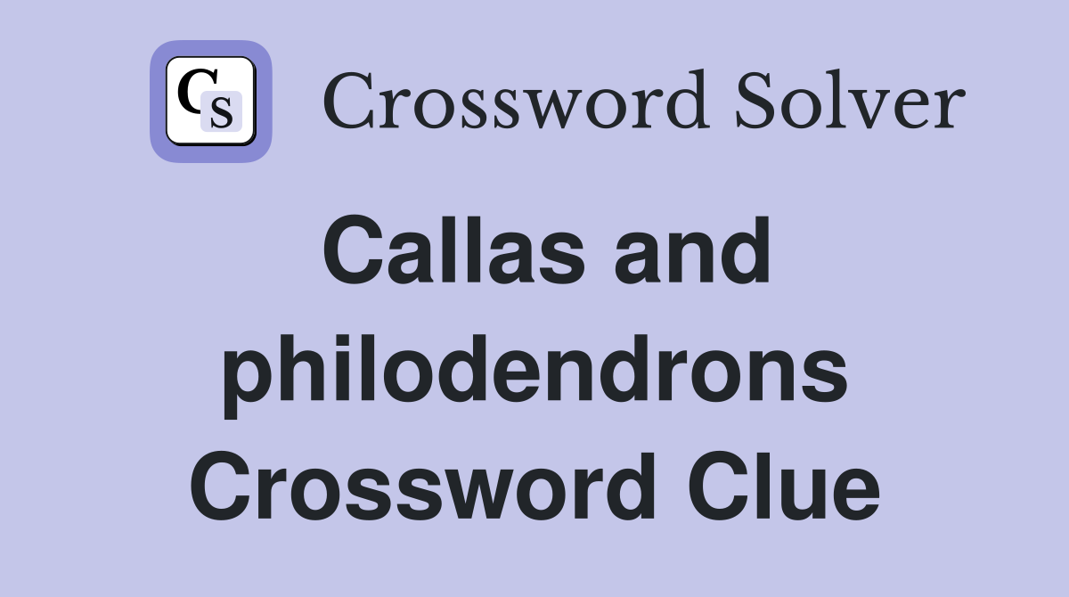 Callas and philodendrons Crossword Clue