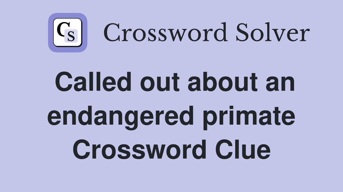 Called out about an endangered primate Crossword Clue