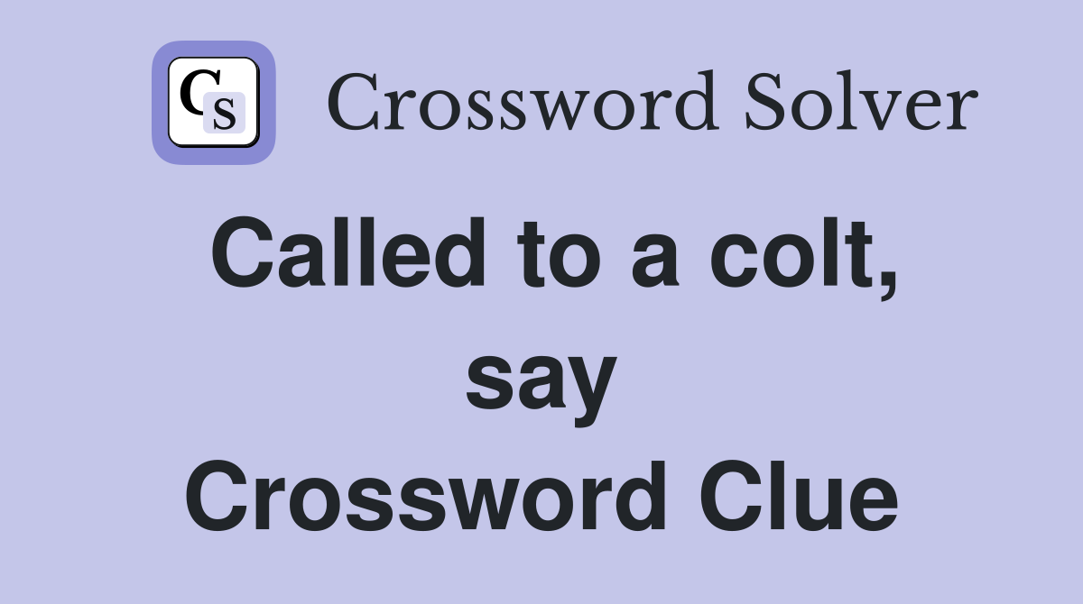 Called to a colt, say Crossword Clue
