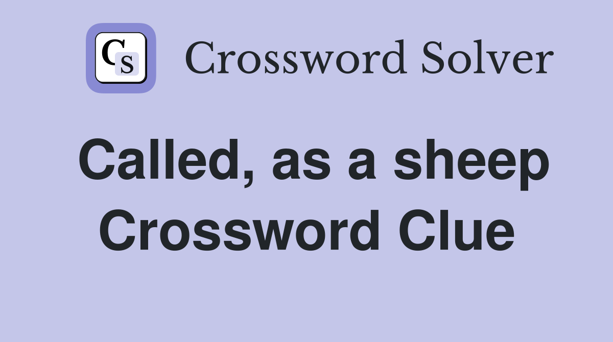 Called, as a sheep Crossword Clue