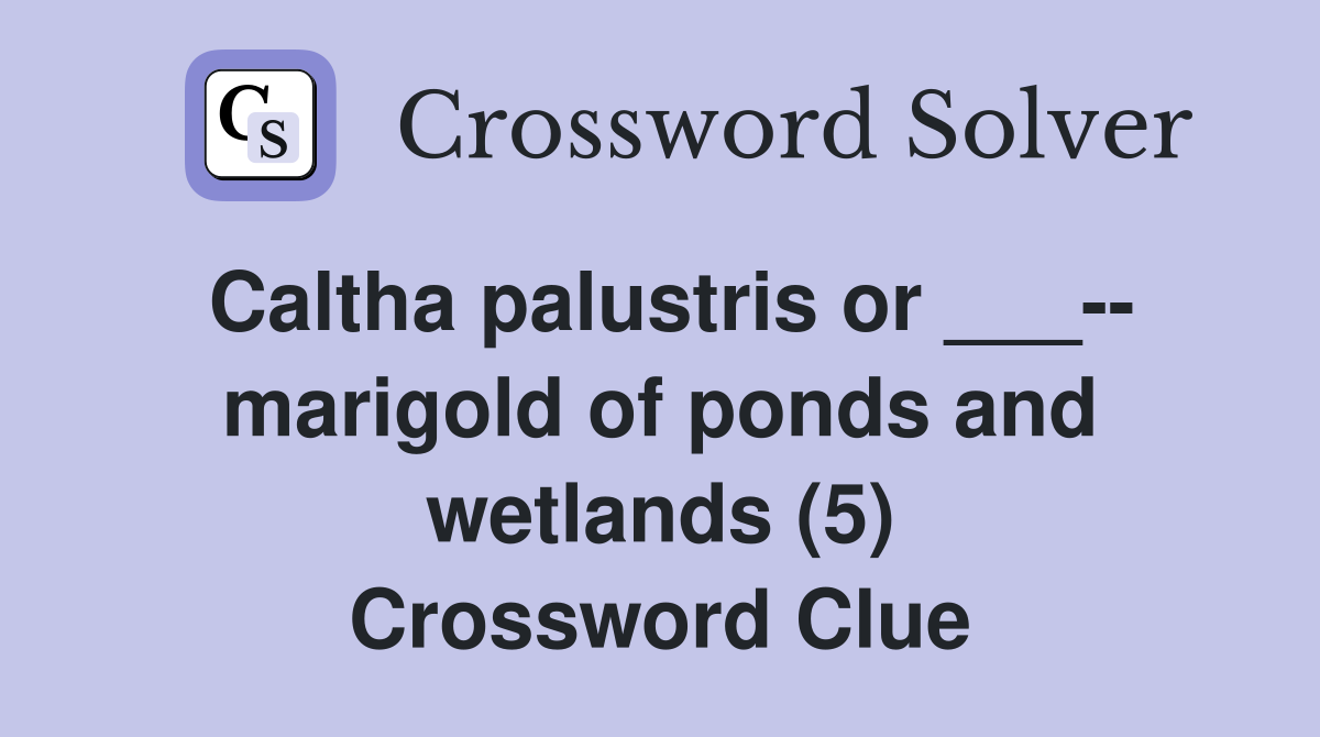 Caltha palustris or ___-- marigold of ponds and wetlands (5) Crossword Clue