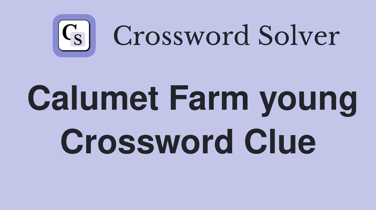Calumet Farm young Crossword Clue
