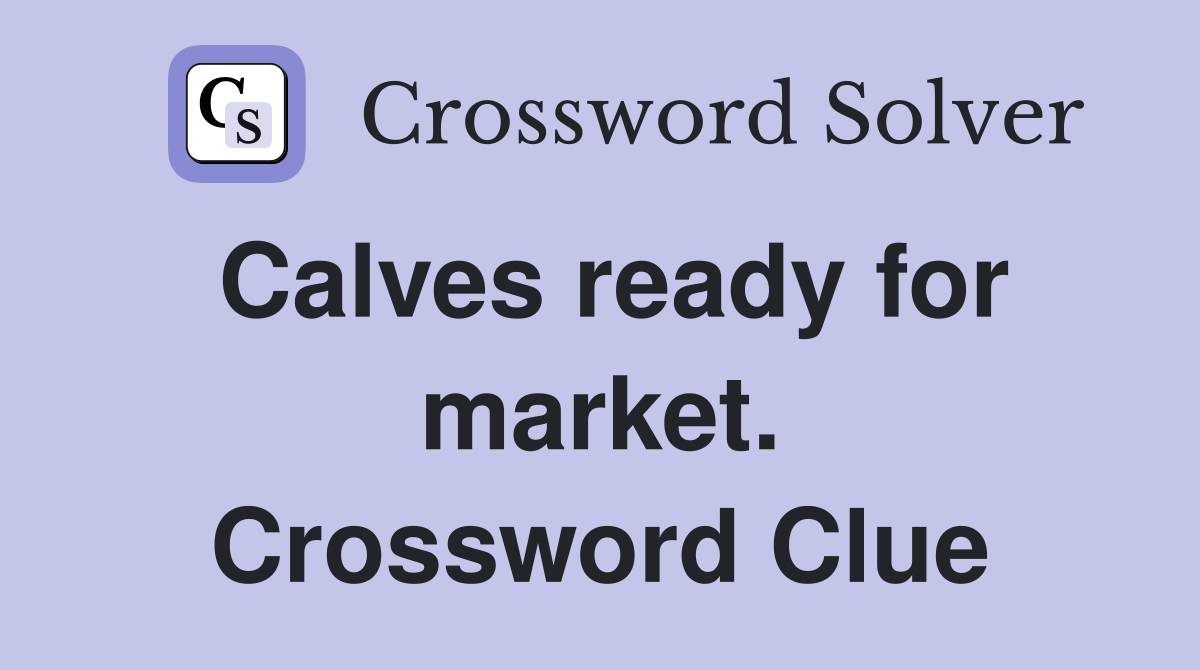 Calves ready for market. Crossword Clue