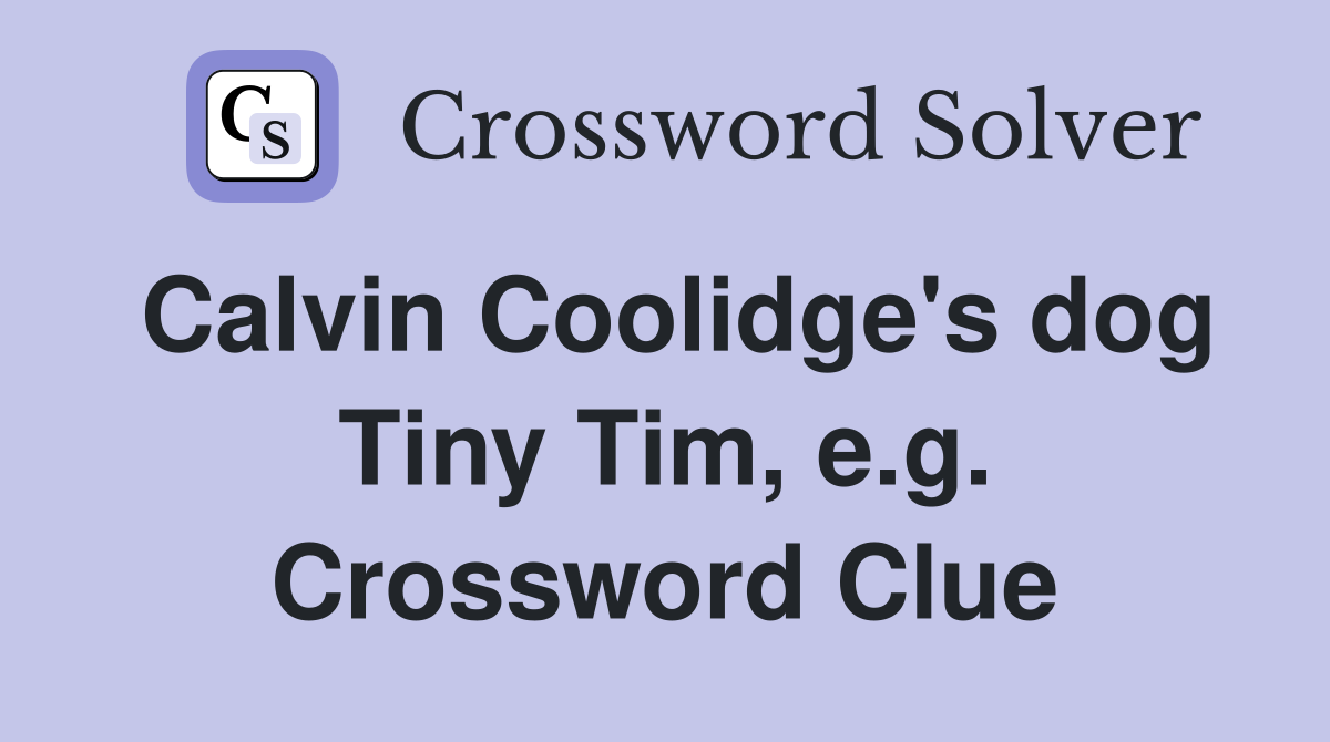 Calvin Coolidge's dog Tiny Tim, e.g. Crossword Clue
