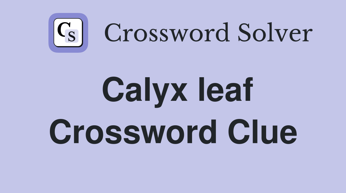 Calyx leaf Crossword Clue