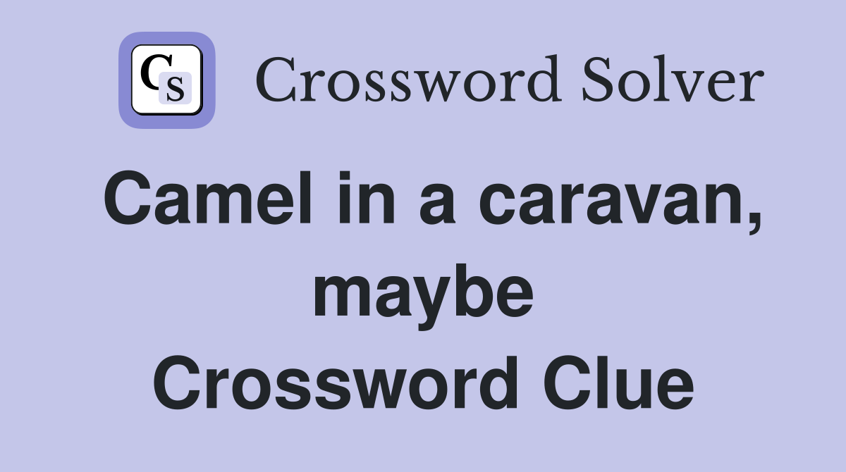 Camel in a caravan, maybe Crossword Clue