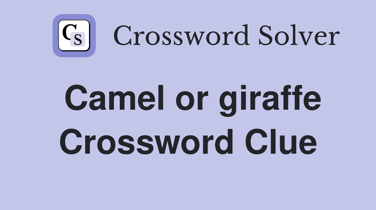 Camel or giraffe Crossword Clue