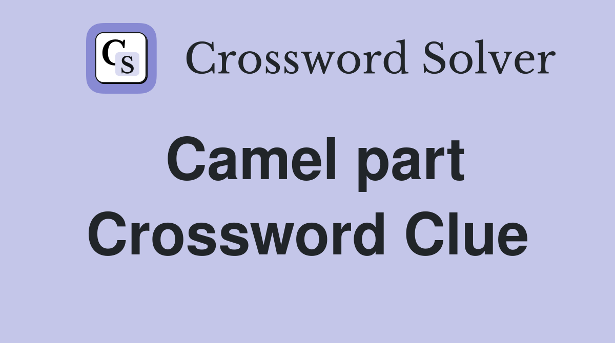 Camel part Crossword Clue