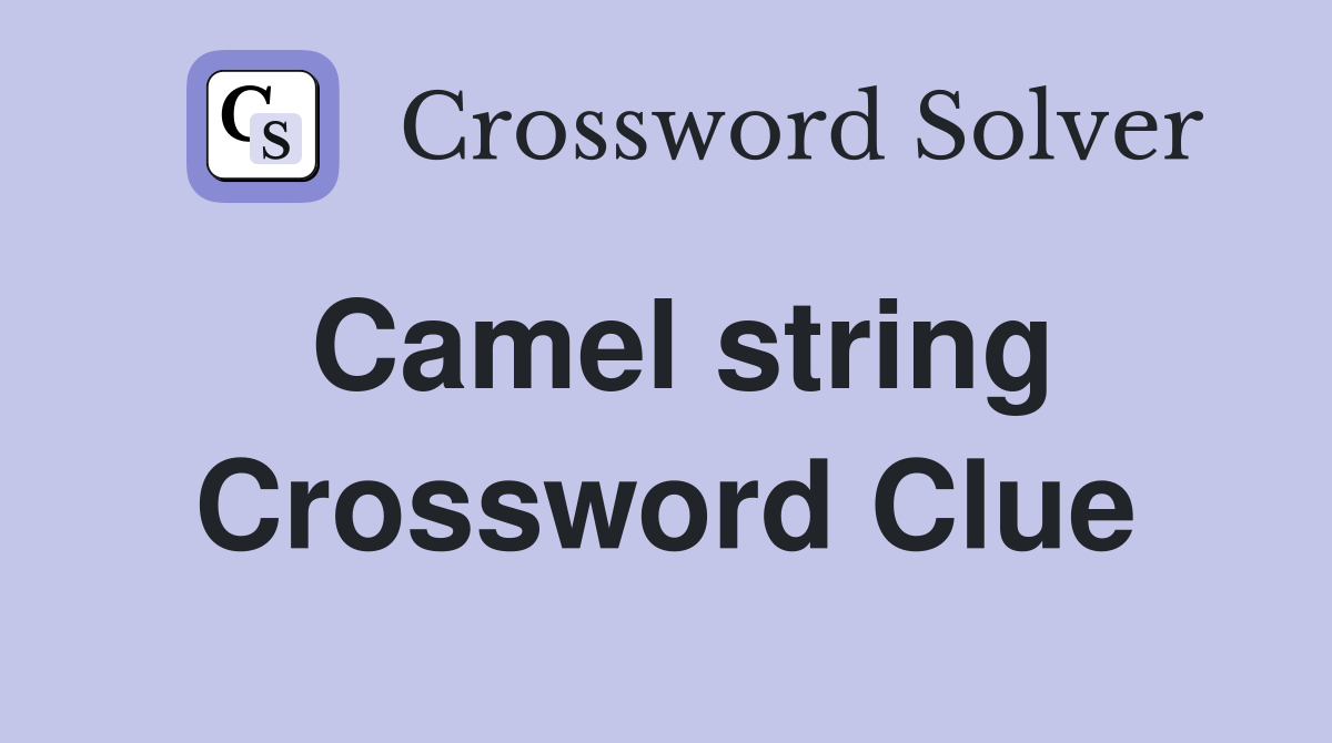 Camel string Crossword Clue