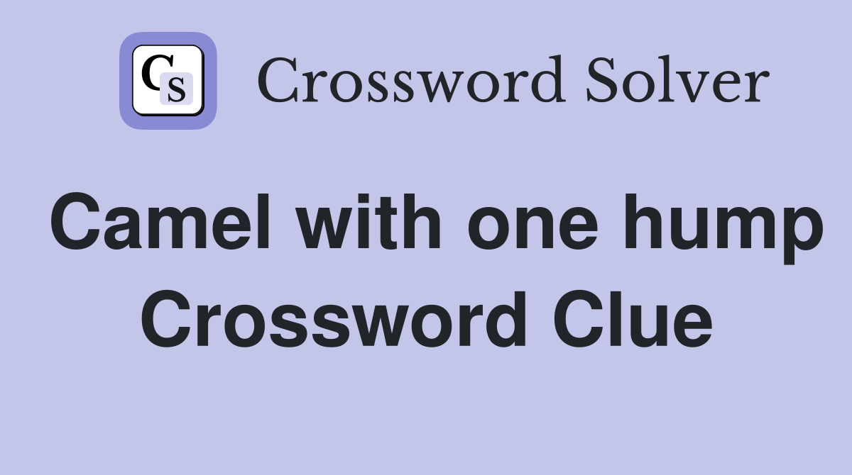 Camel with one hump Crossword Clue