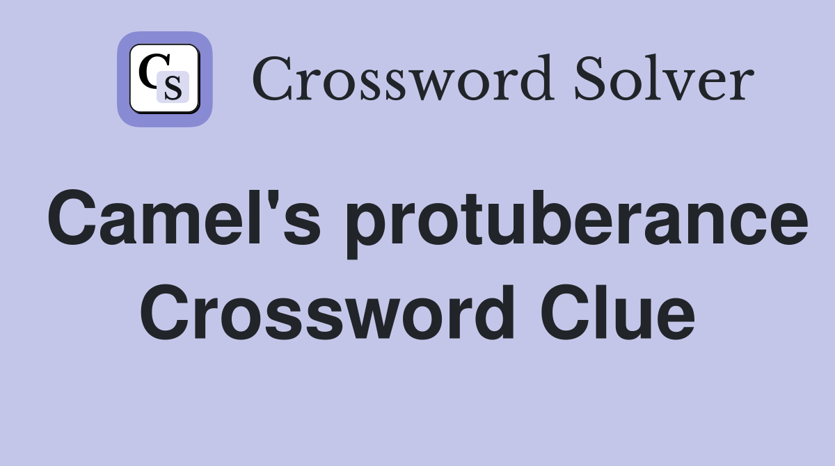 Camel's protuberance Crossword Clue